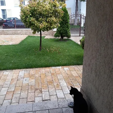 Casuta Cu Flori Rum i privatbostad