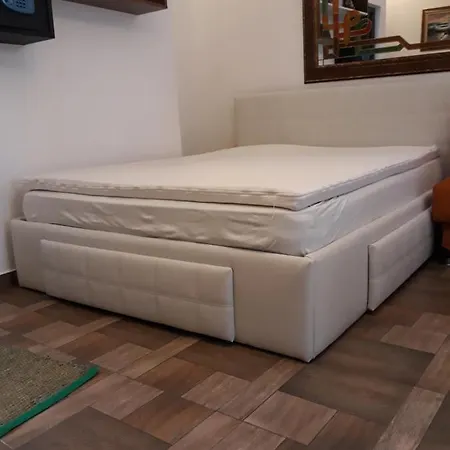 Casuta Cu Flori Séjour chez l'habitant Mangalia